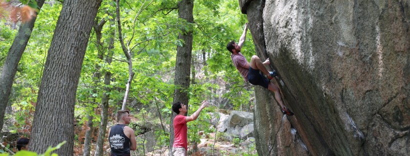 photo by Shannon McFarland